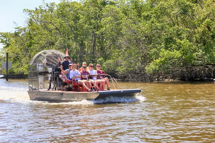 people-aboard-airboats-heading-out-on-a-tour-of-the-mangrove-swamps-in-the-everglades-in-florida-usa-930082894-5adfb7b143a103003749a044