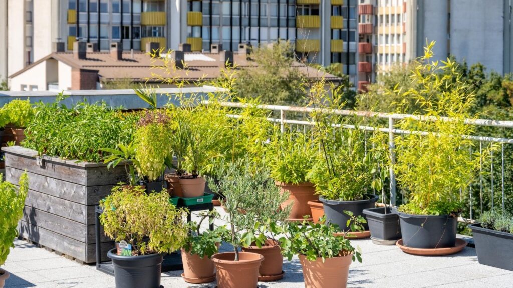 Sunexus Apartments at Hollywood30